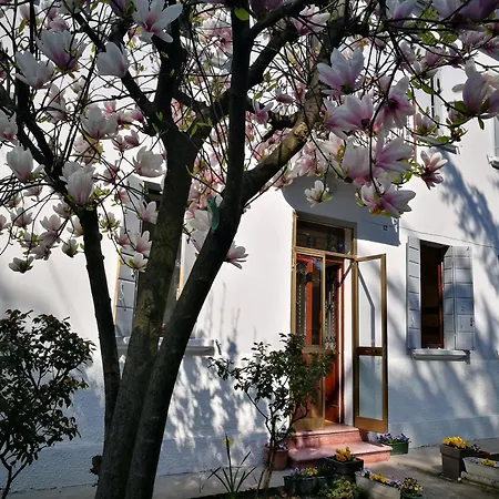 Mirella's House Ferienhaus Padua